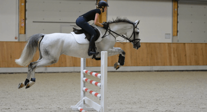 How can riders and horses prepare for show jumping competitions?