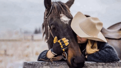 How can riders improve their communication and connection with their horses?