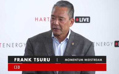 Frank Tsuru Net Worth: Energy Sector Leader's Wealth