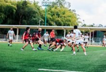 strategic activity overview report