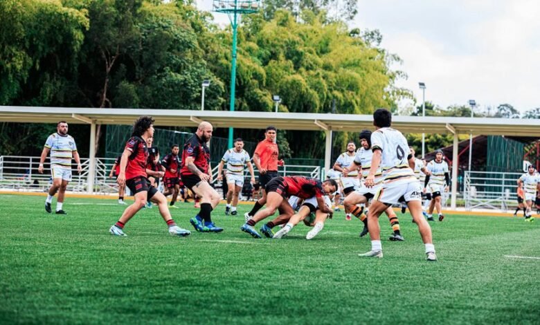 strategic activity overview report